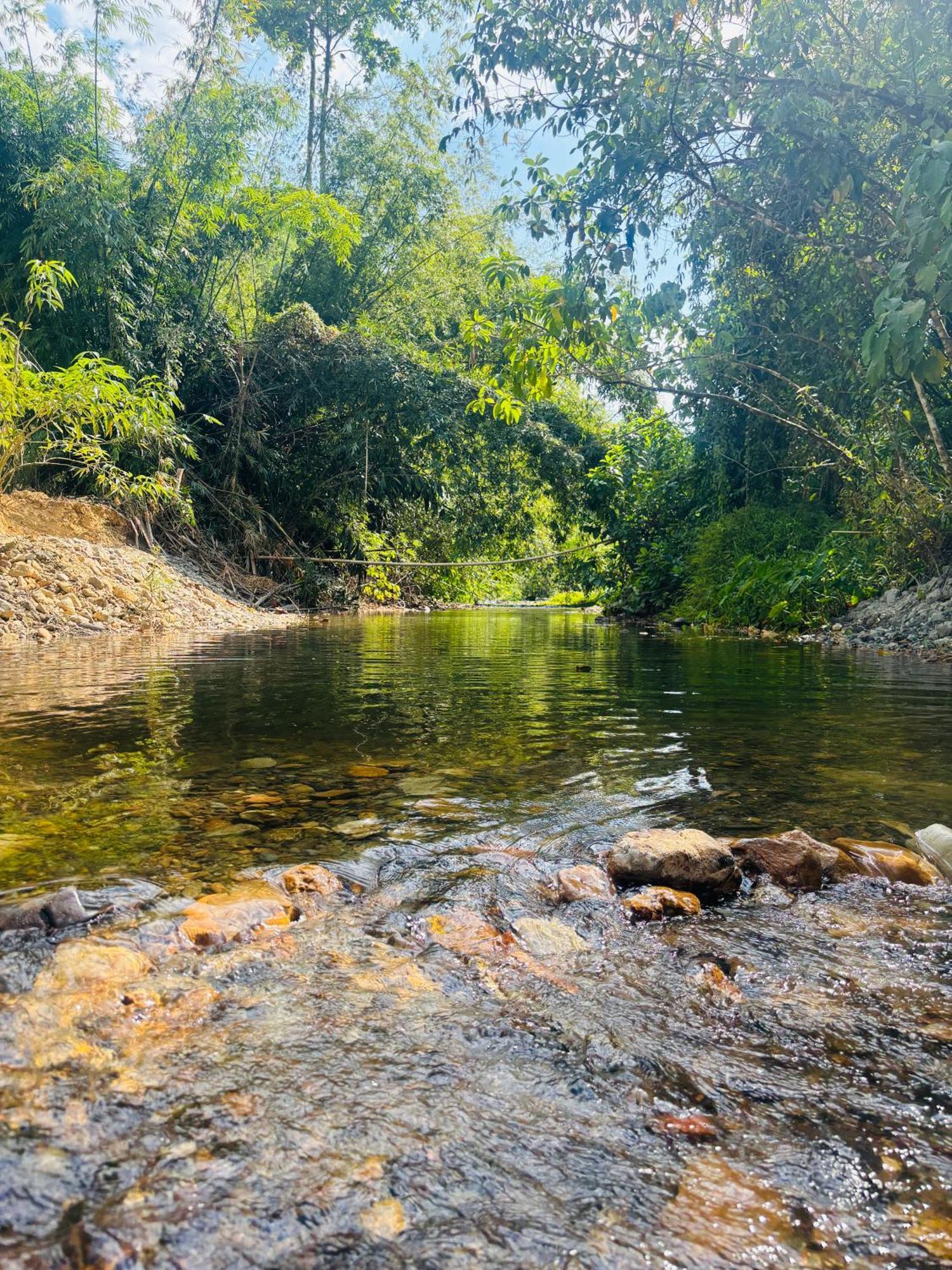 Camping Phutajoy Khaosok แคมป์ปิ้งภูตาจ้อยเขาศก Ban Thung Lang Tham Zewnętrze zdjęcie